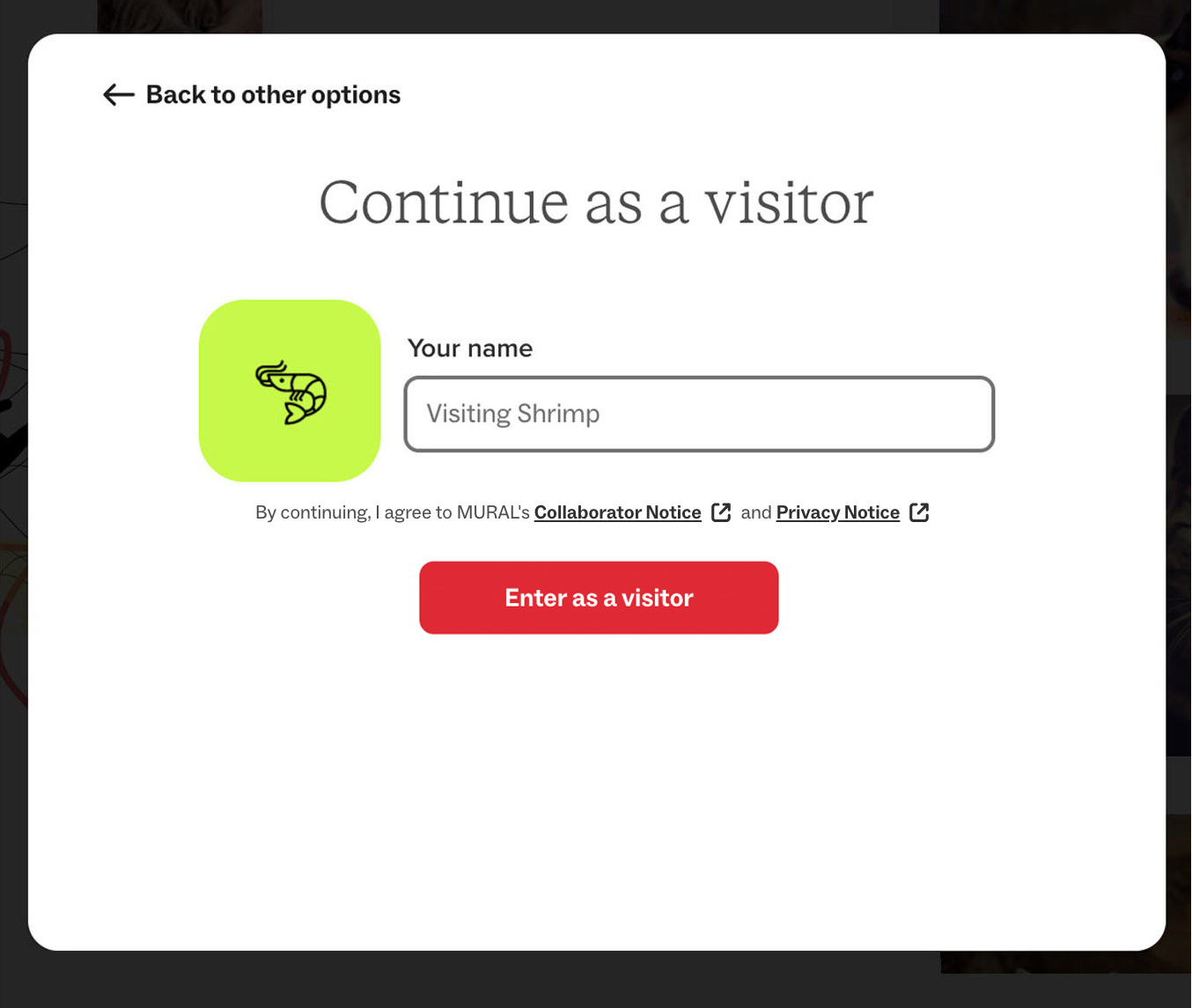 Continue as visitor dialog box in a mural