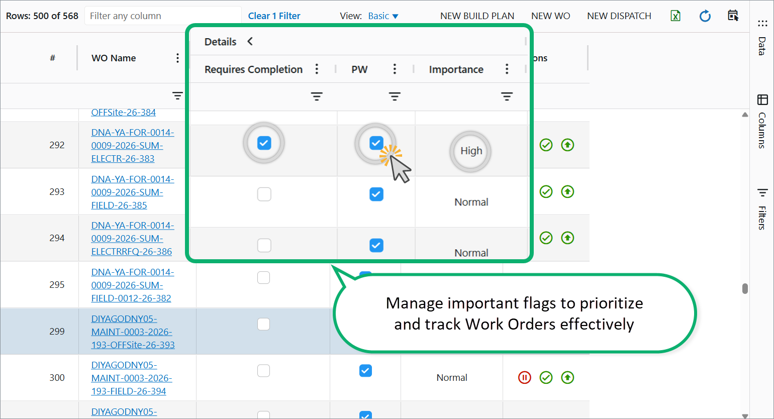 Work Order Details: PW, Requires Completion, Importance