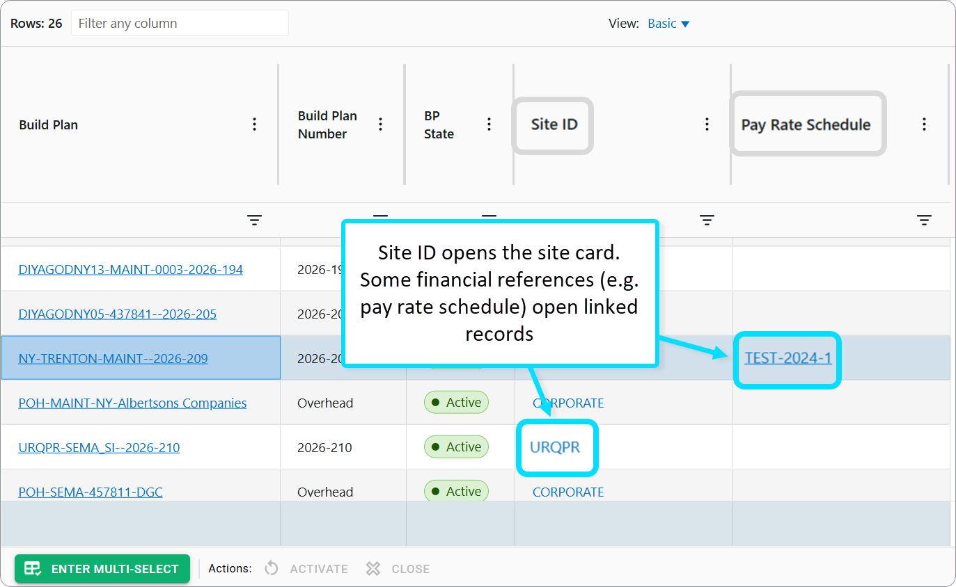 Build Plans dashboard: Open other records