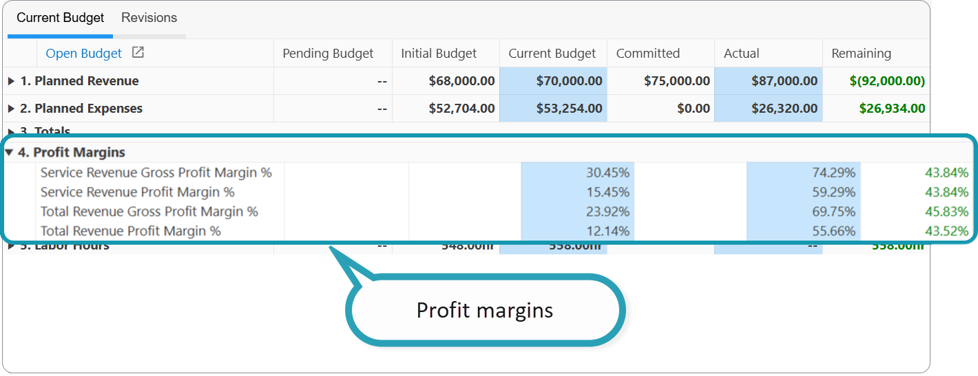 Budget Profir Margins