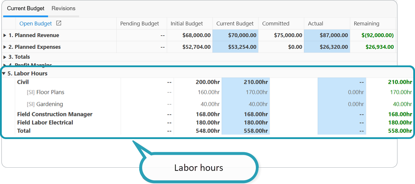 Budget Labor Hours by financial account