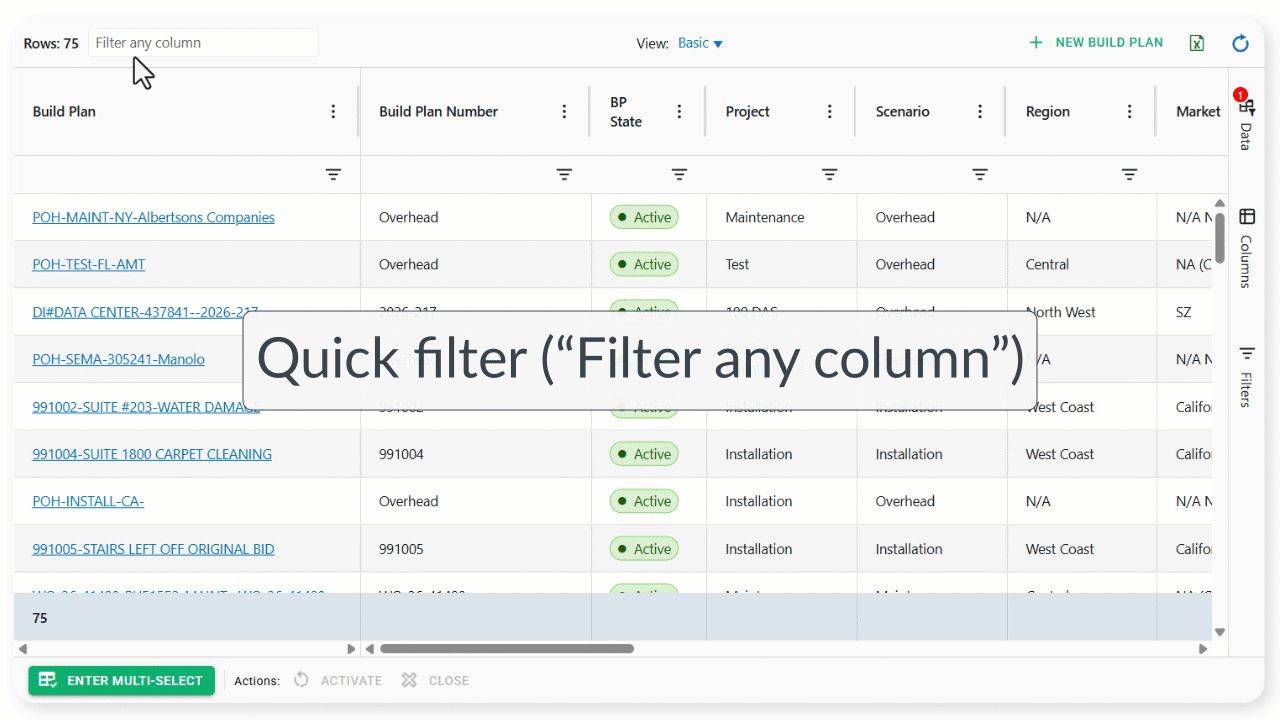 Quick filter: Filter any column