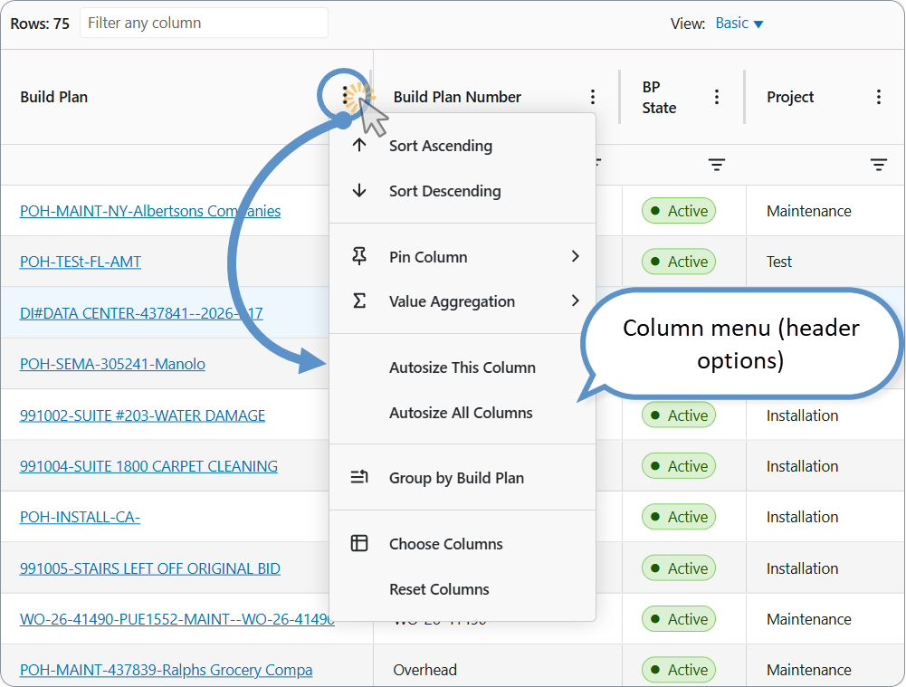 AG Grid Dashboard: Column menu (header)