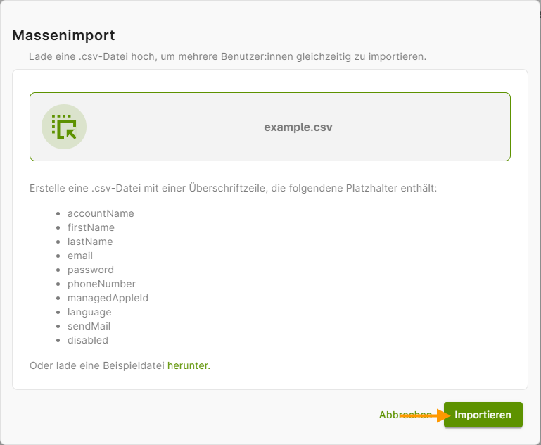 CSV-Datei importieren