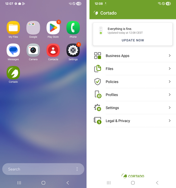 fully managed device