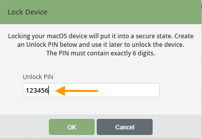 create a Unlock PIN
