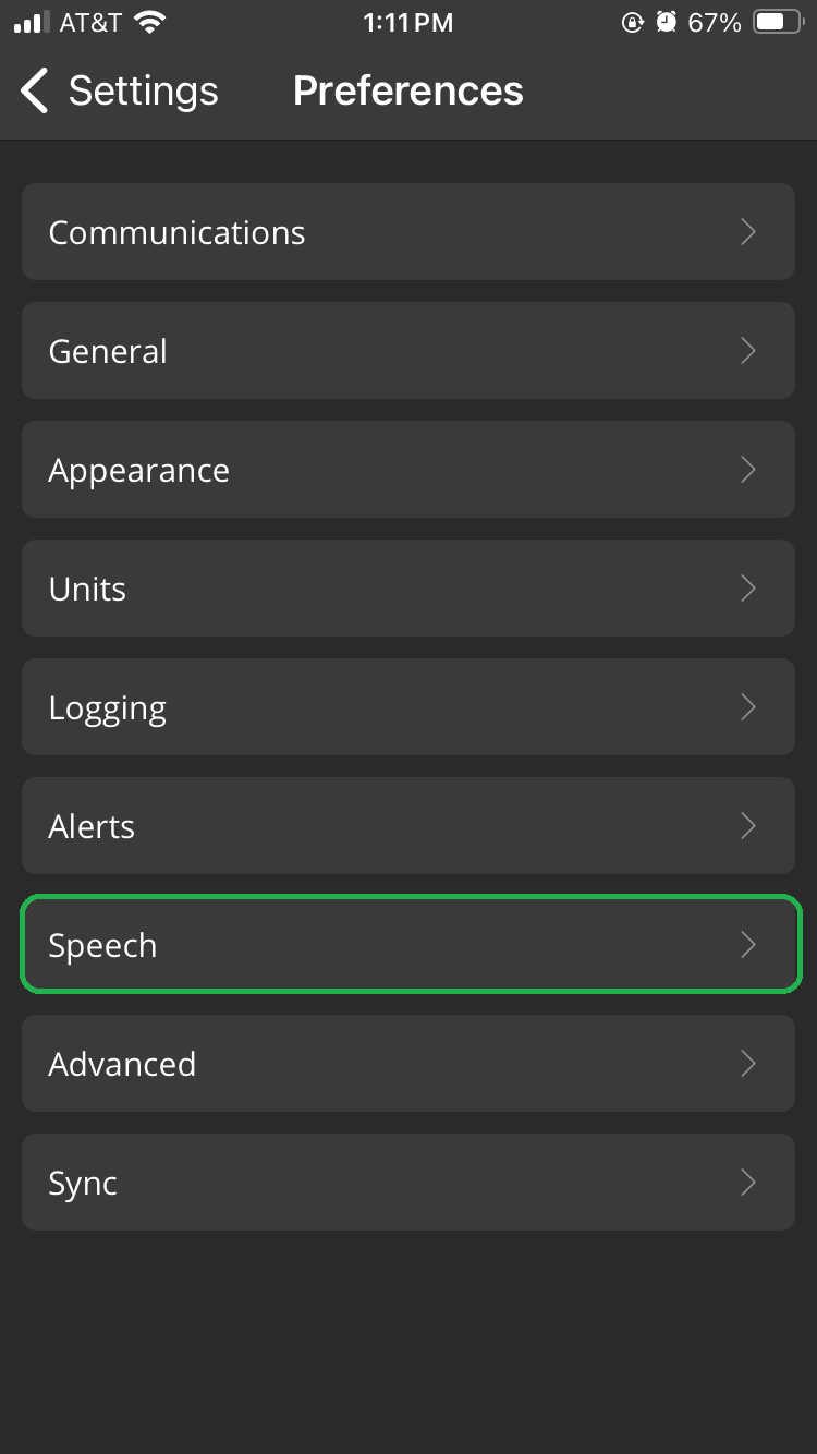 iOS Settings screen showing the Preferences options. The Speech option is highlighted.