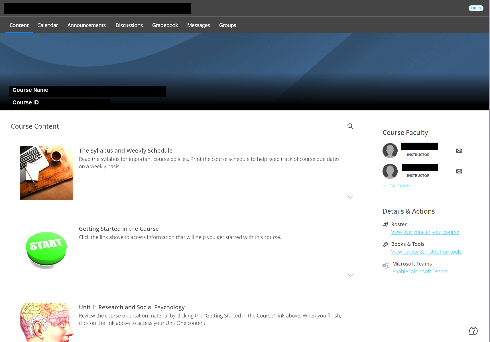 Image of the Content Area of a Blackboard course site 