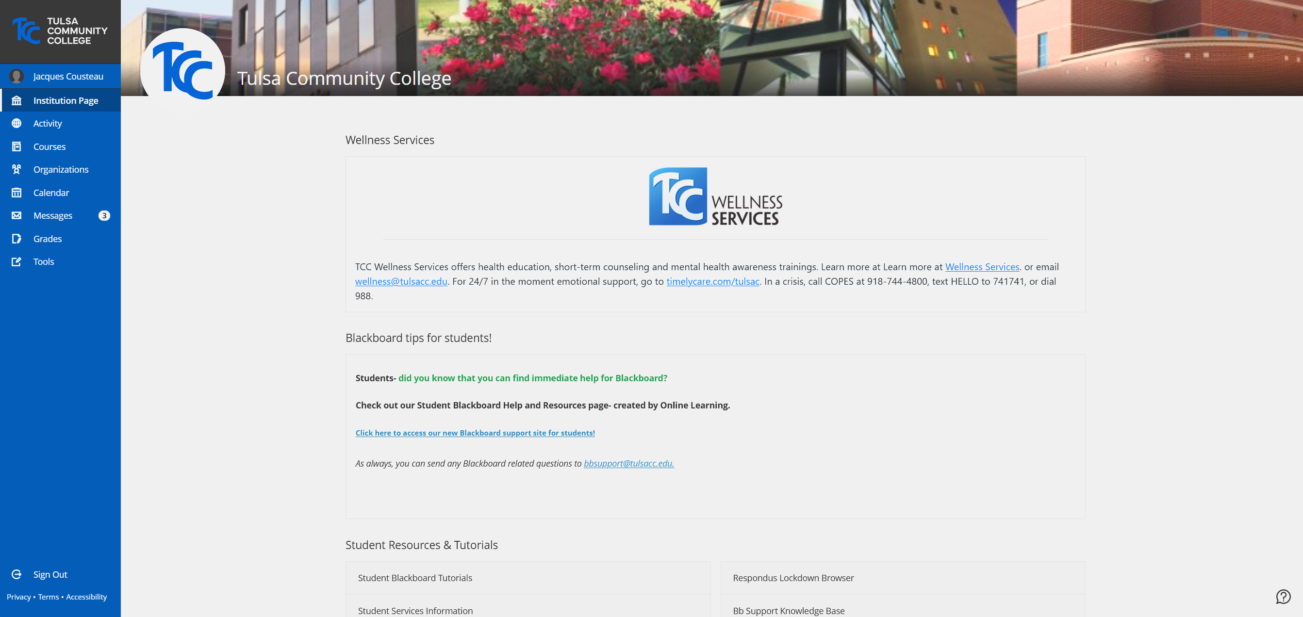 Image showing a demonstration of the landing page for Blackboard, the Institution Page.. 