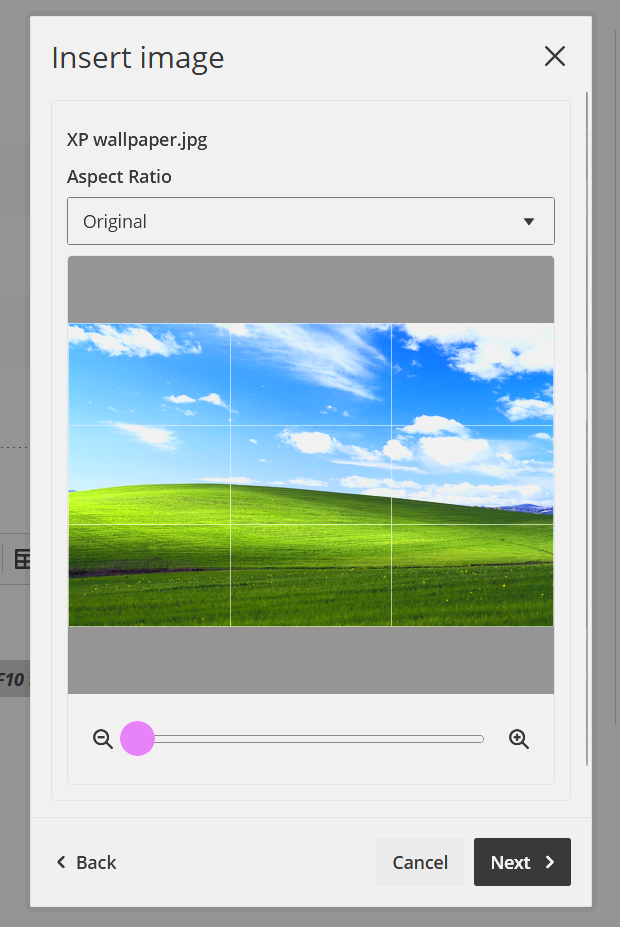 Image describing how the aspect ratio of the image can be altered. 