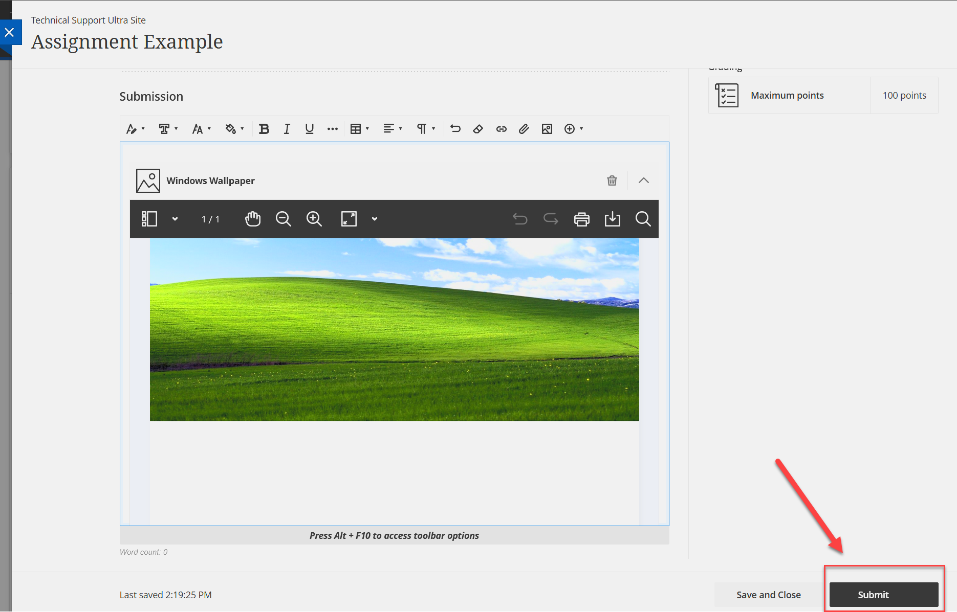 Screenshot showing image populated in the submission box with annotation options available before submission. 