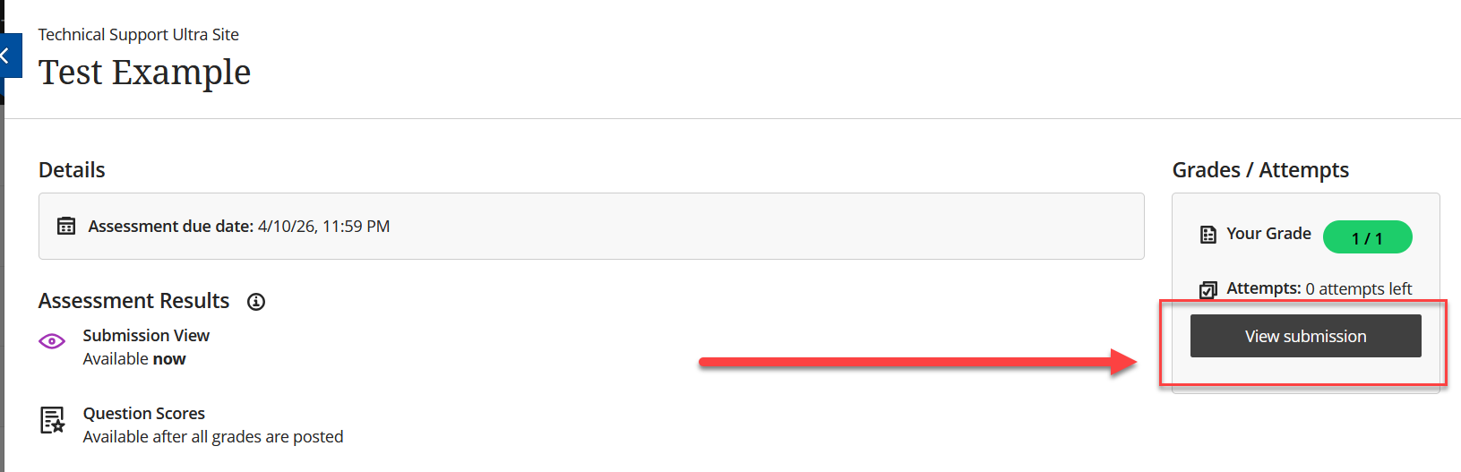 Image showing that return to the submission will show the grade record and allow the student to click on "view submission" 