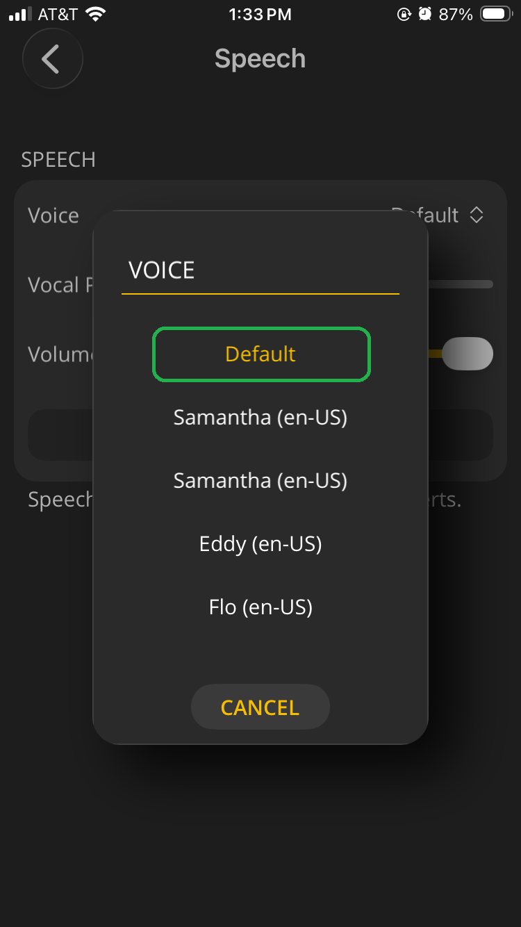 iOS screen showing the Voice options. The Default option is highlighted.