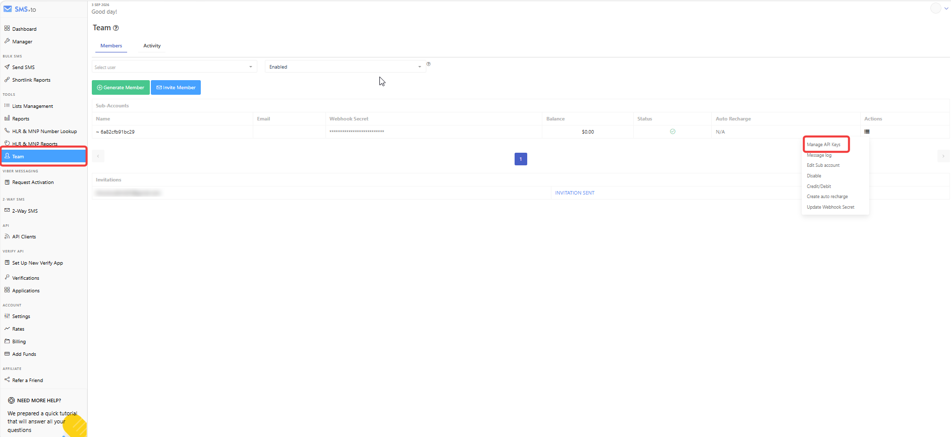 Team tab with the Action menu open and Manage API Keys highlighted