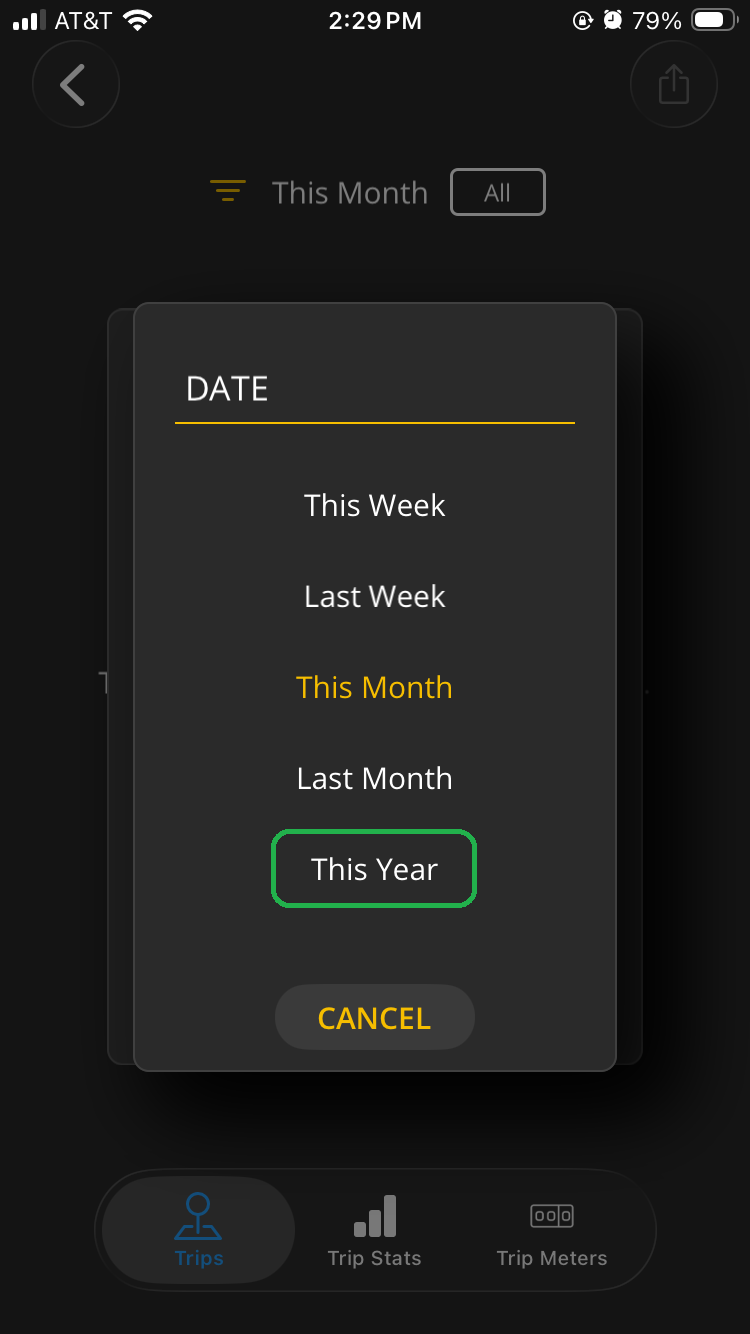 iOS screen showing Date filter options. The Date option "This Year" is highlighted.