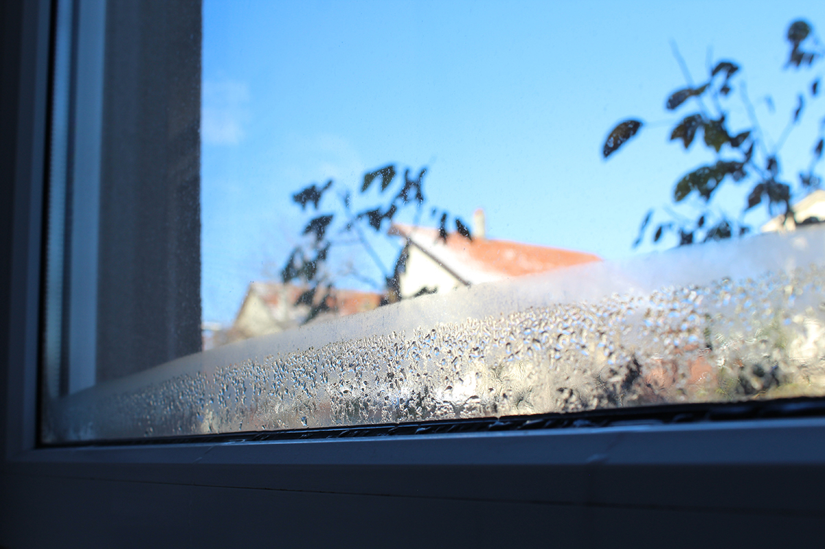What Causes Condensation Exterior Condensation Climate