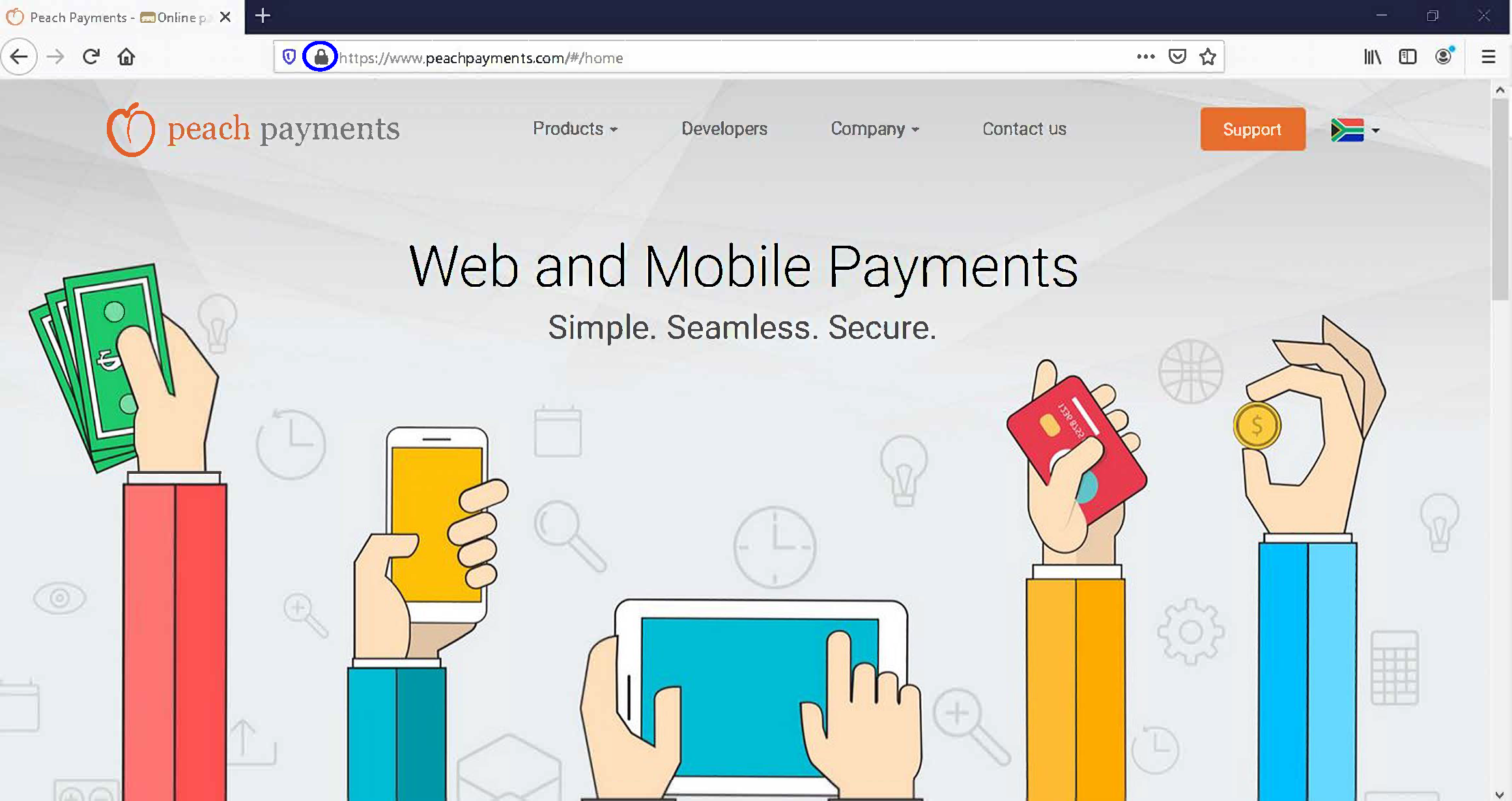 How can I be sure my card details are safe with Peach Payments