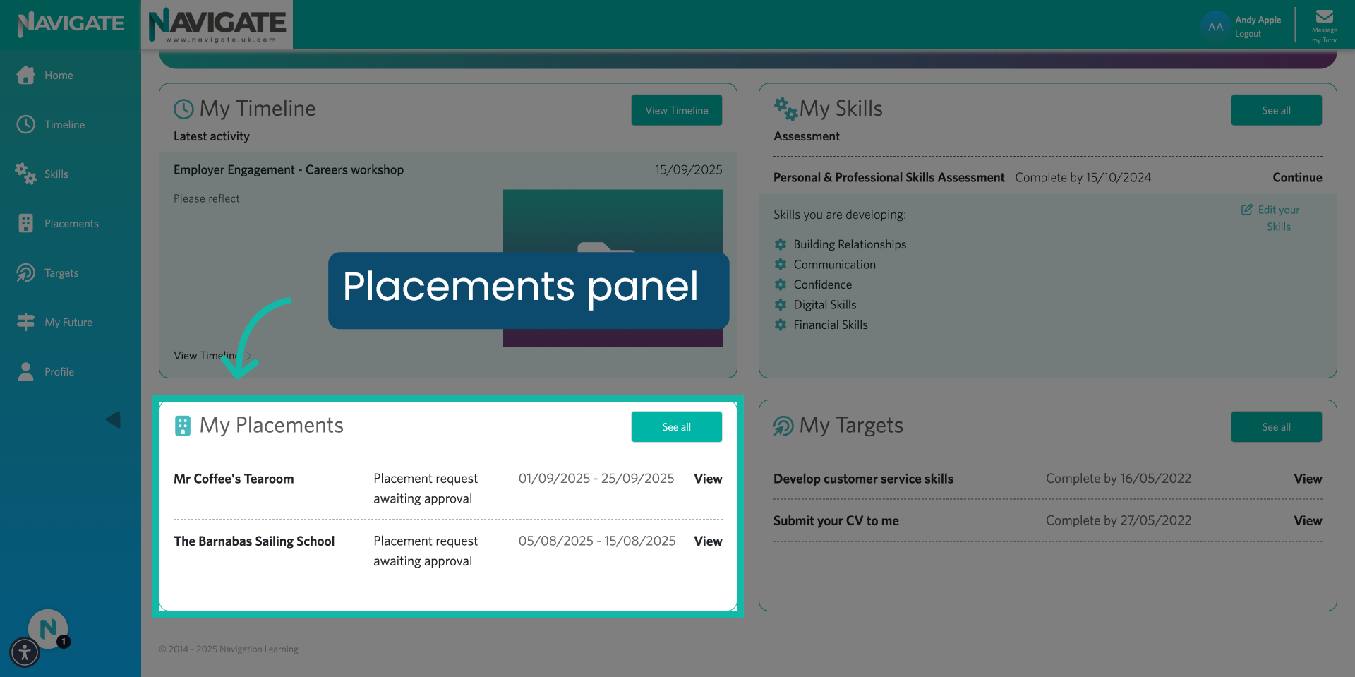 Scroll down to the Placements Panel.