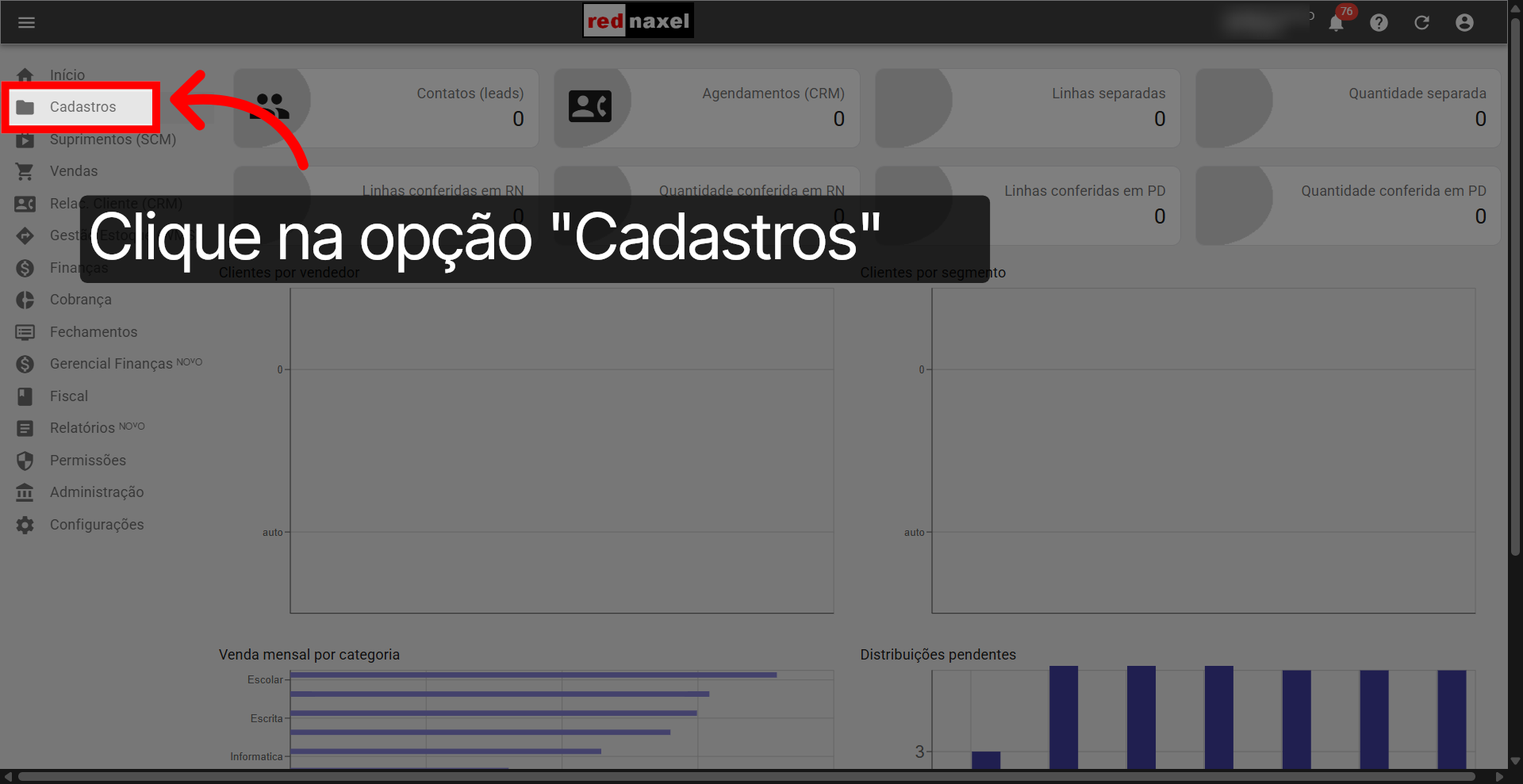 Opção: 'Cadastros'