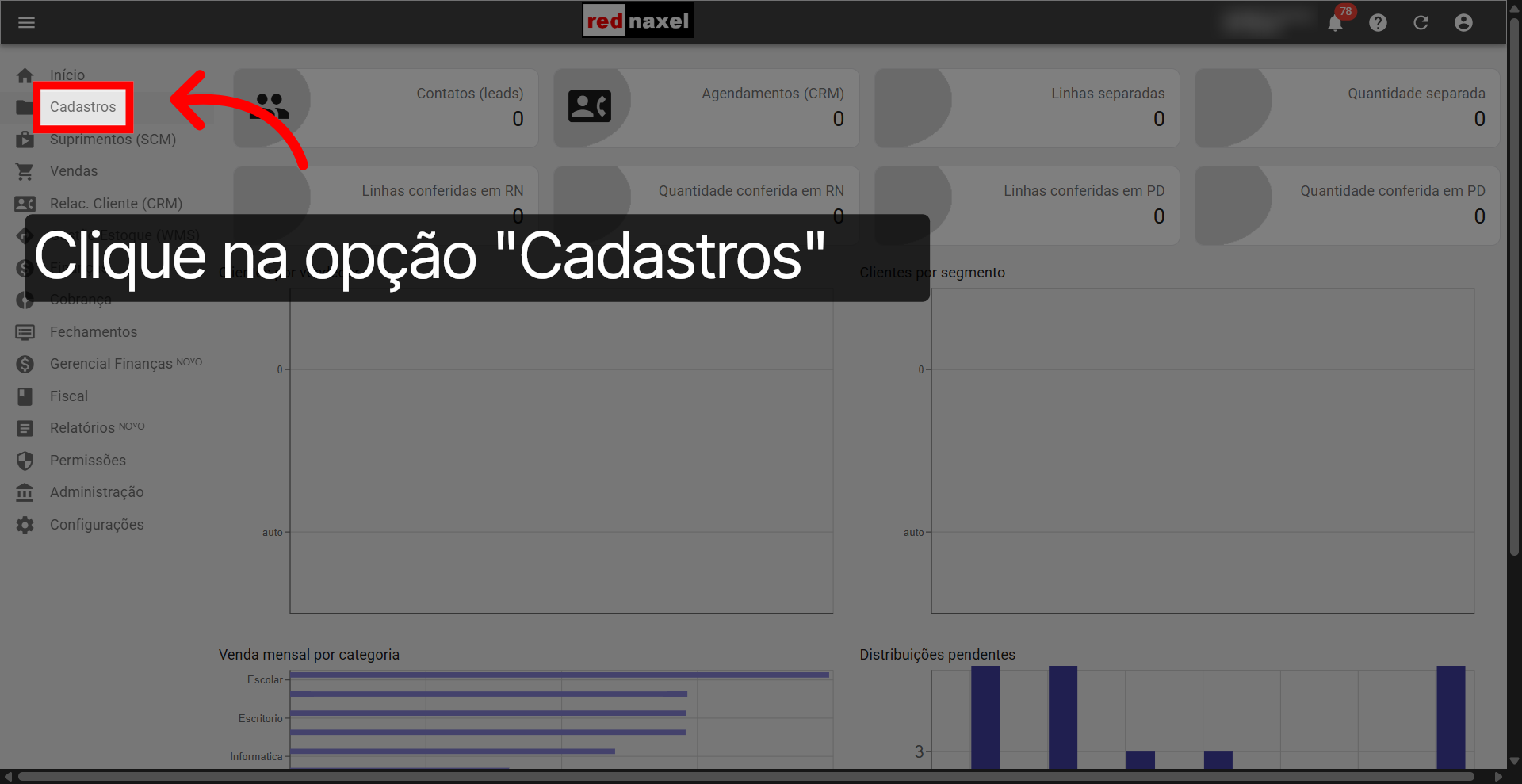 Opção: 'Cadastros'