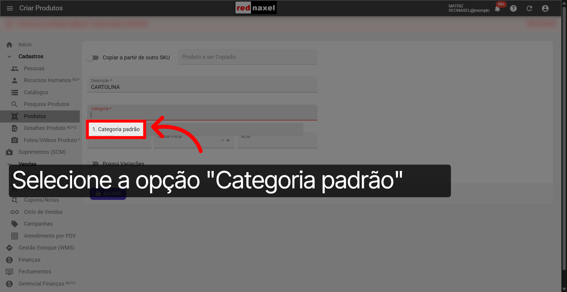 Opção: 'Categoria Padrão'