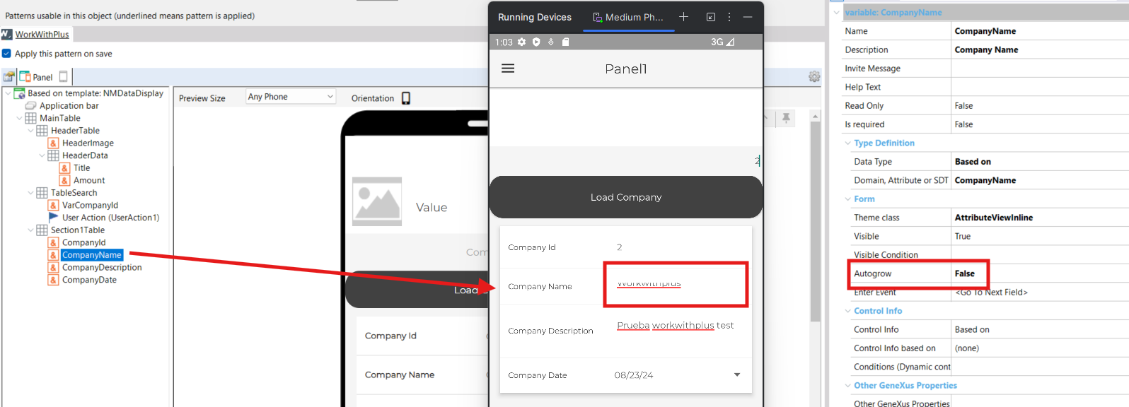 NMVariableAutowgrowFalse