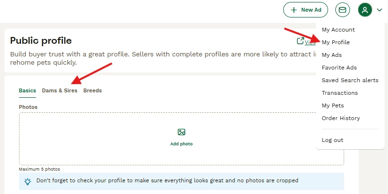 My Profile page example
