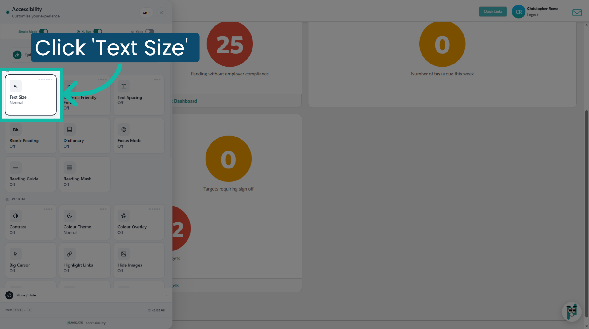 Adjust Text Size Settings