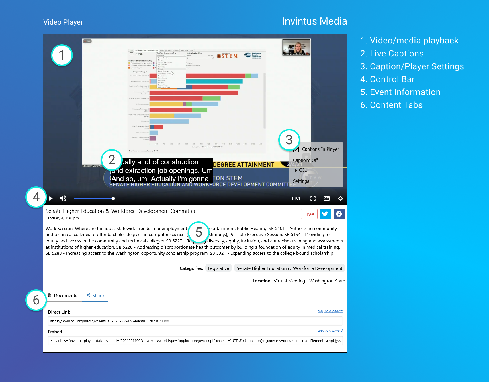 Video Player Overview screenshot