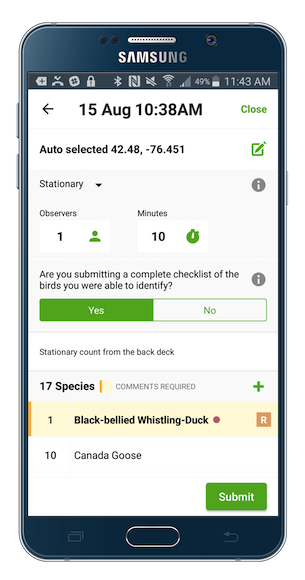 eBird Mobile checklist