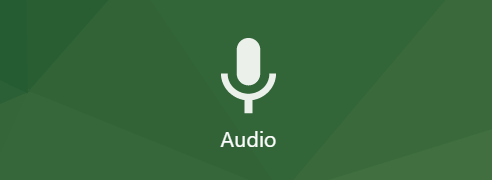 Microphone icon
