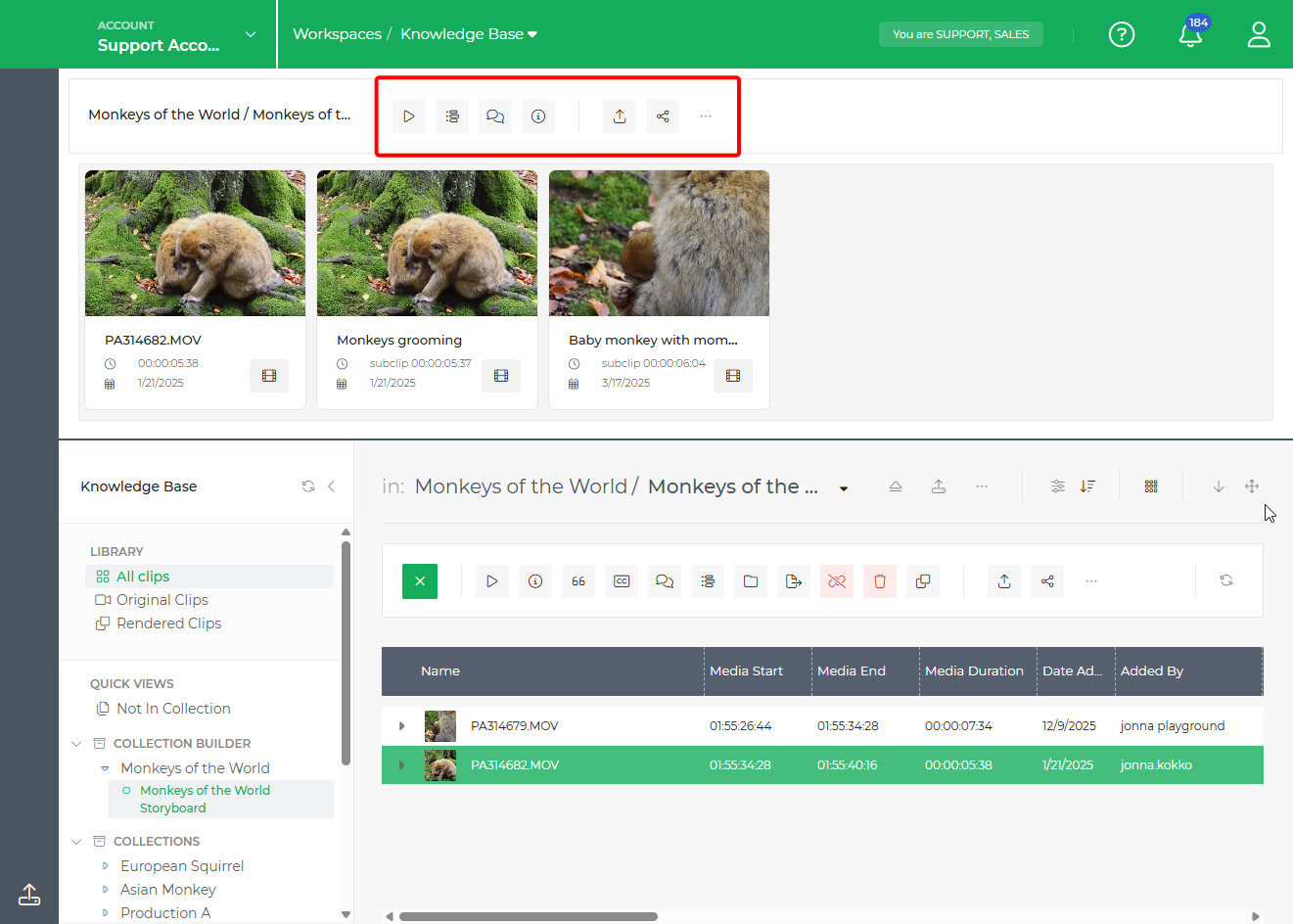 Limecraft screenshot showing where to share, export and review a storyboard created with the Collection Builder.