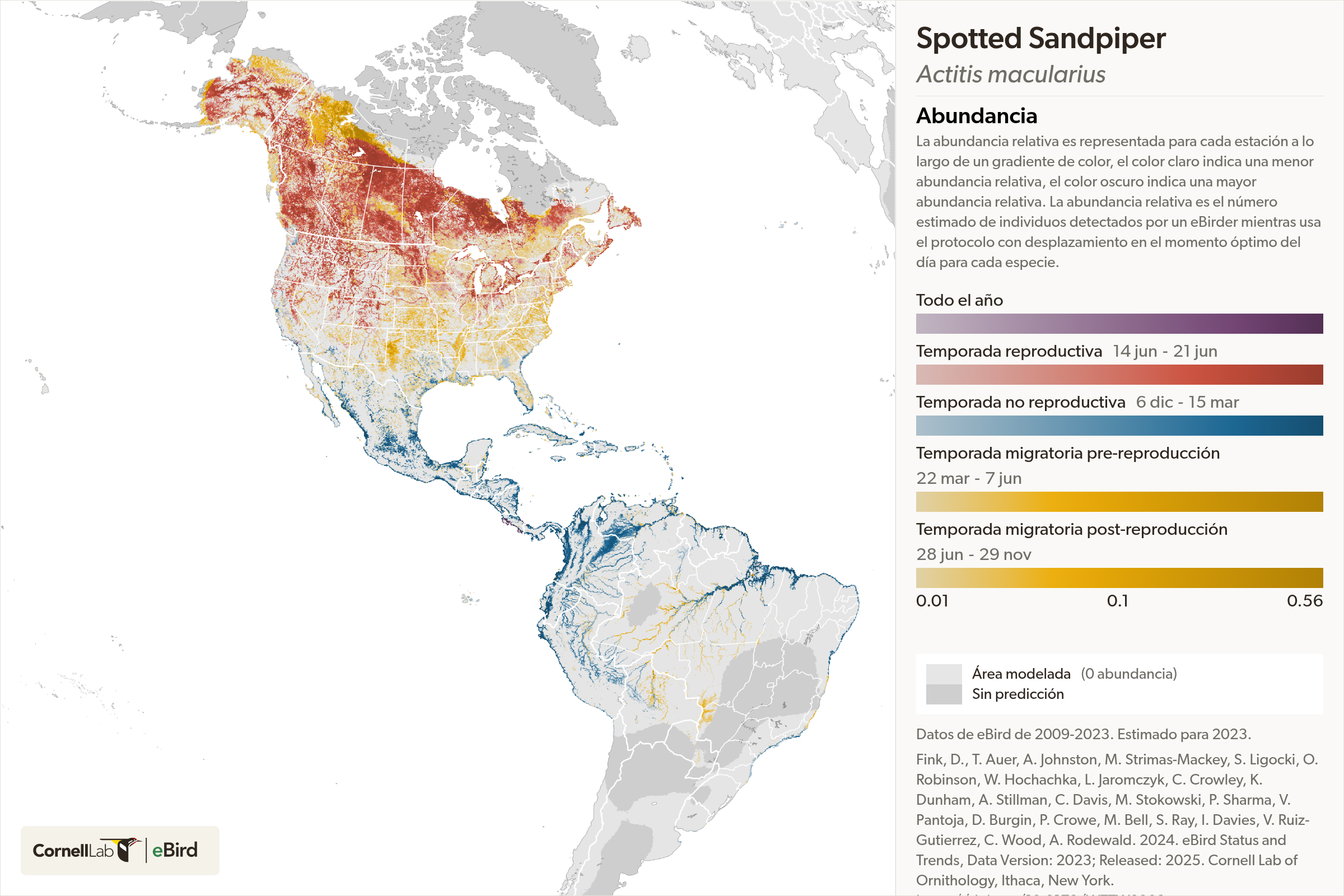 Estimated seasonal abundance of Tree Swallows in North America