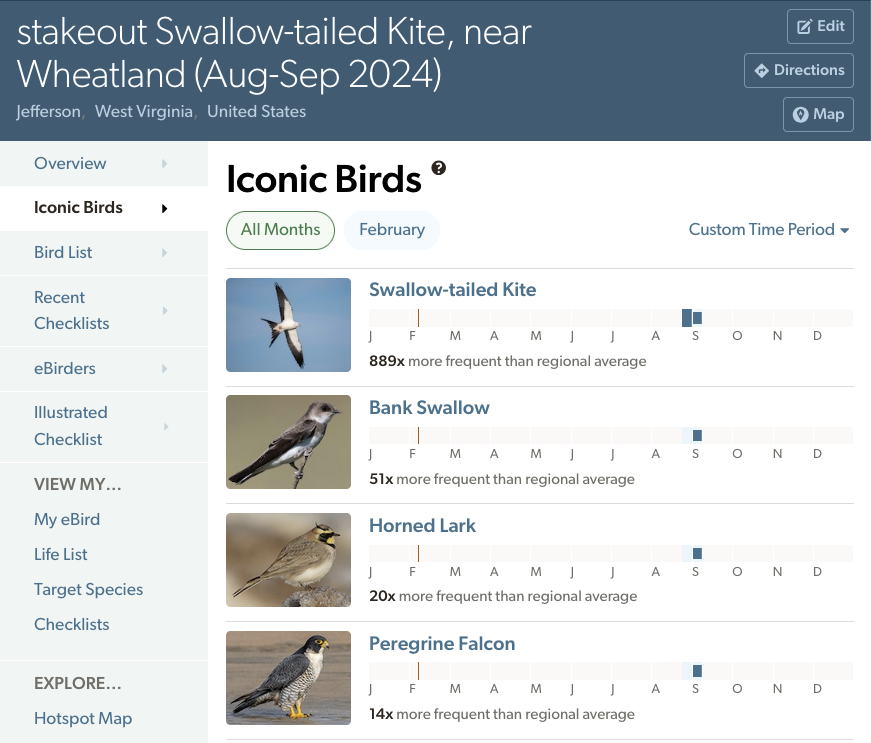 iconic birds for a stakeout hotspot