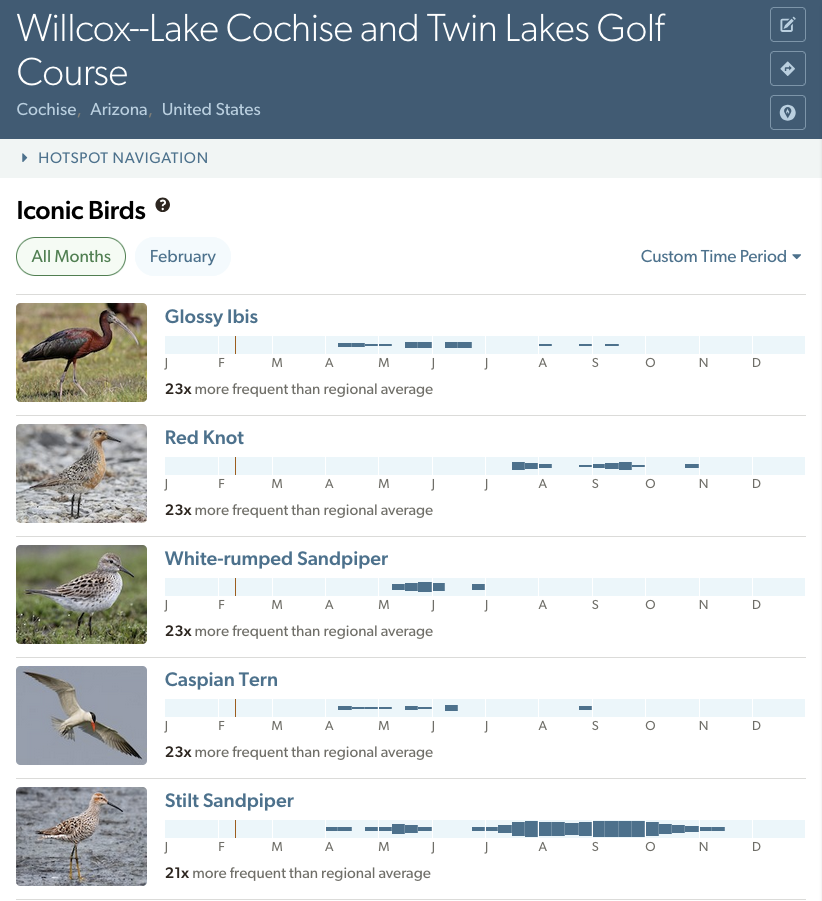 lake cochise iconic birds