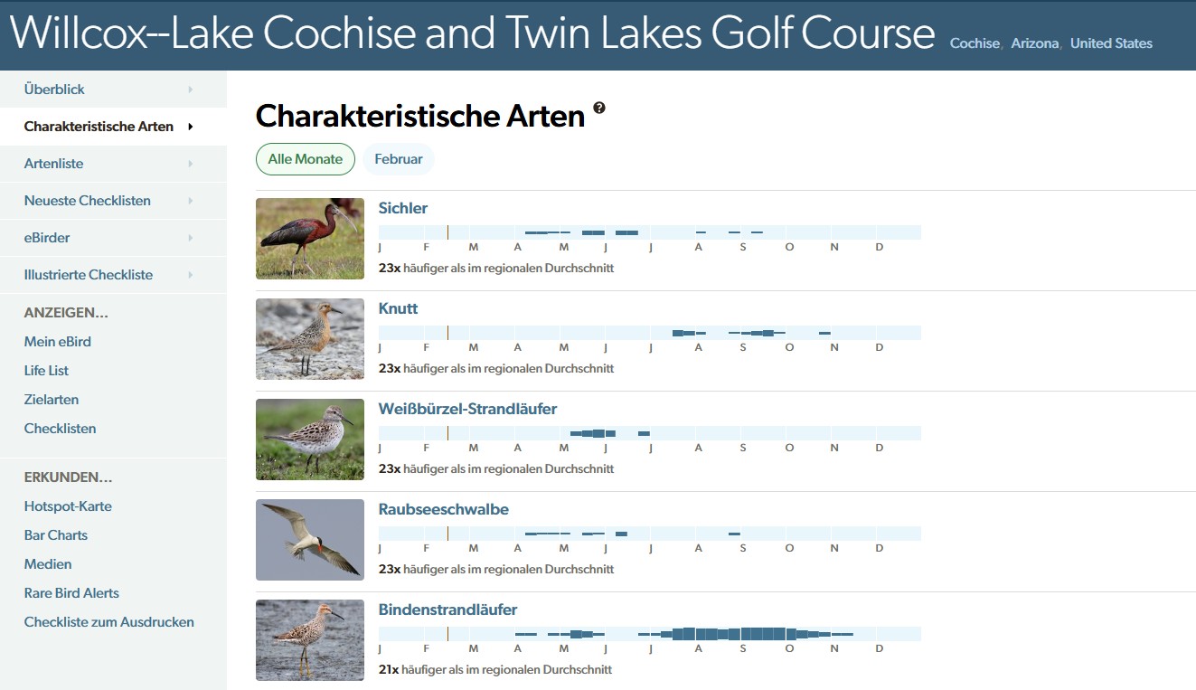 lake cochise iconic birds
