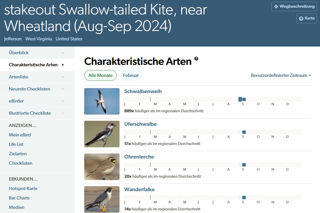 iconic birds for a stakeout hotspot