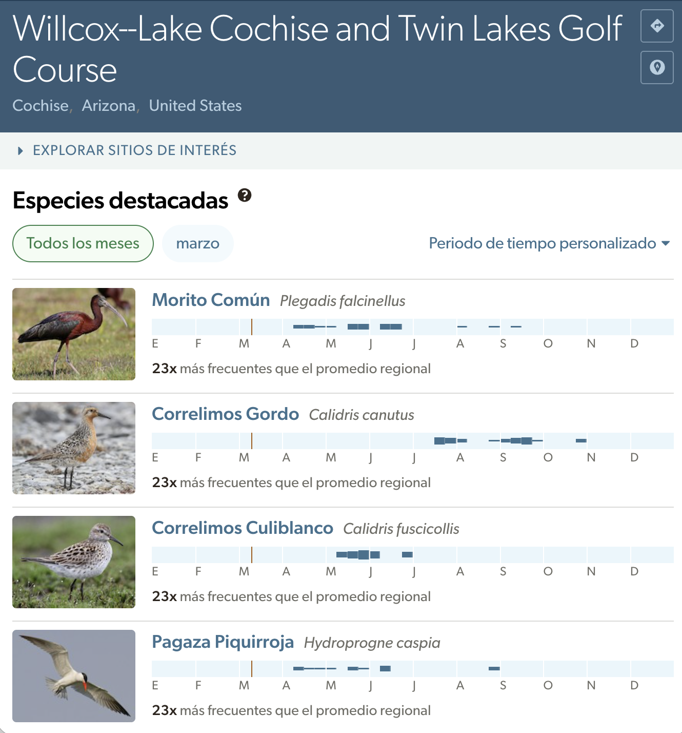 aves destacadas del lago cochise