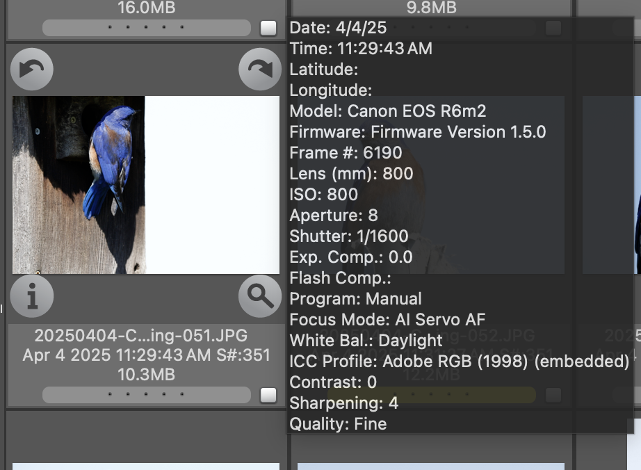 Courtesy Jason Hill Photography