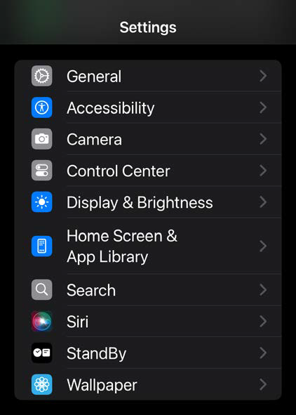 iPhone Settings screen