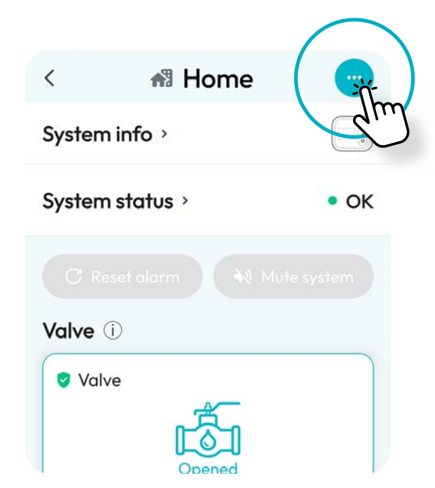 Tap the three dots on the system dashboard