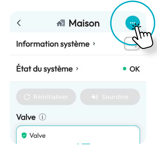 Appuyer sur le rond bleu avec les trois points dans le tableau de bord