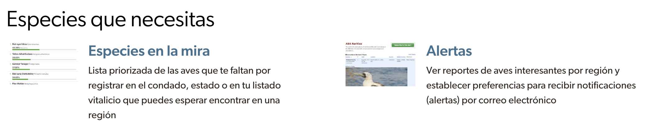 Opciones de Alertas de eBird