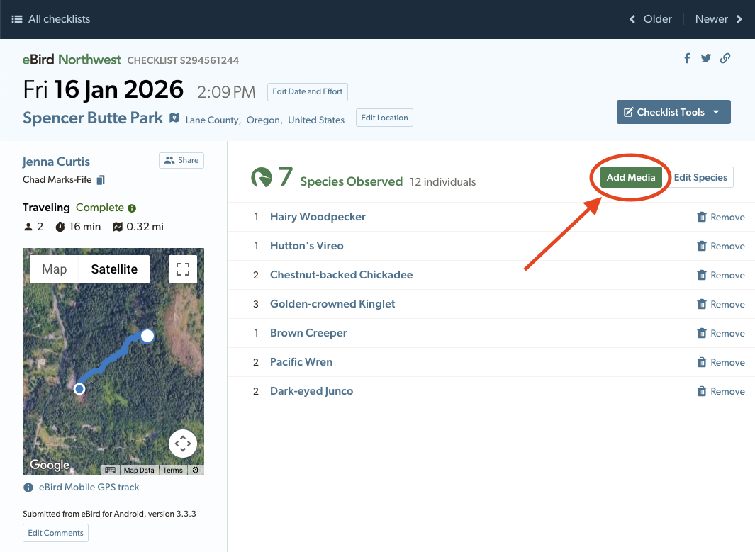 eBird checklist screen
