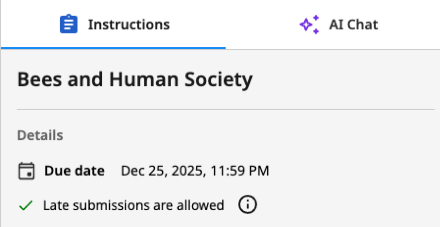 Instructions tab showing due date and clock icon for late submission