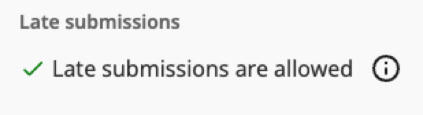 Assignment details showing late submission allowed