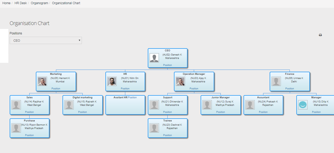 How to Create Organization chart, organogram HRMS