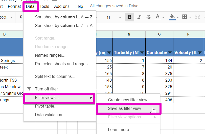 Using Filters to Shrink your Data in Google Sheets and Excel Teton