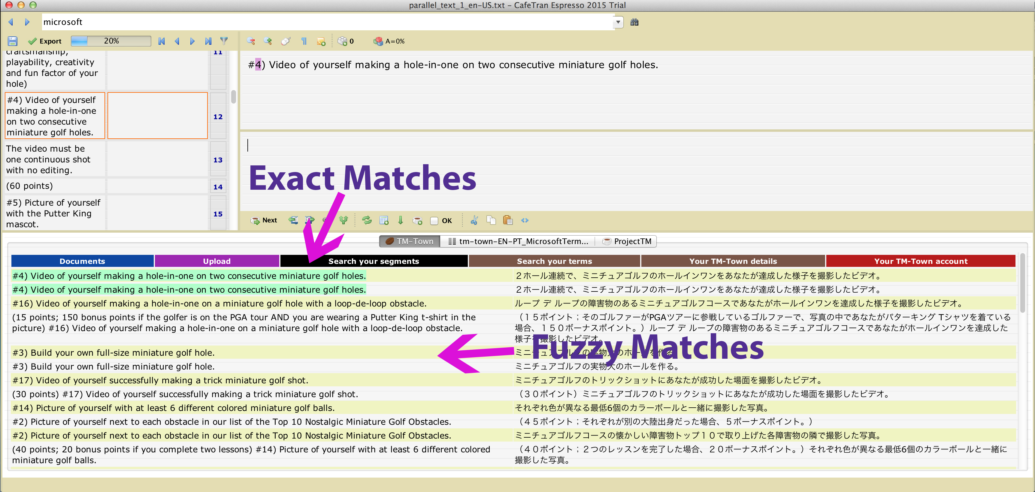 Fuzzy matching (and colourcoded highlighting/fonts, strikethrough, etc.) in online TMTown TMs