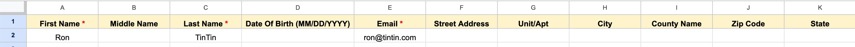 Spreadsheet header row showing columns A through K with labels: First Name, Middle Name, Last Name, Date Of Birth (MM/DD/YYYY), Email, Street Address, Unit/Apt, City, County Name, Zip Code, State. The second row contains sample data: Ron, TinTin, ron@tintin.com.